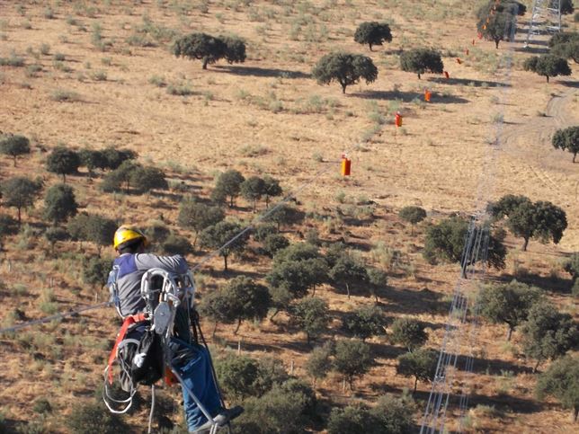 Red Eléctrica de España y la conservación de las aves