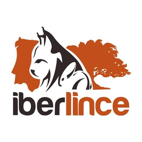 Life+Iberlince libera dos nuevos ejemplares en Viso del Marqués