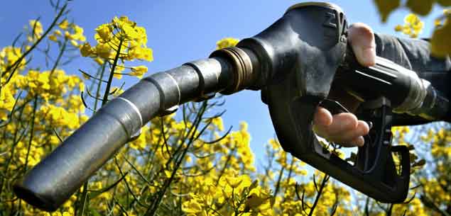 Bruselas expedienta a España por los biocarburantes