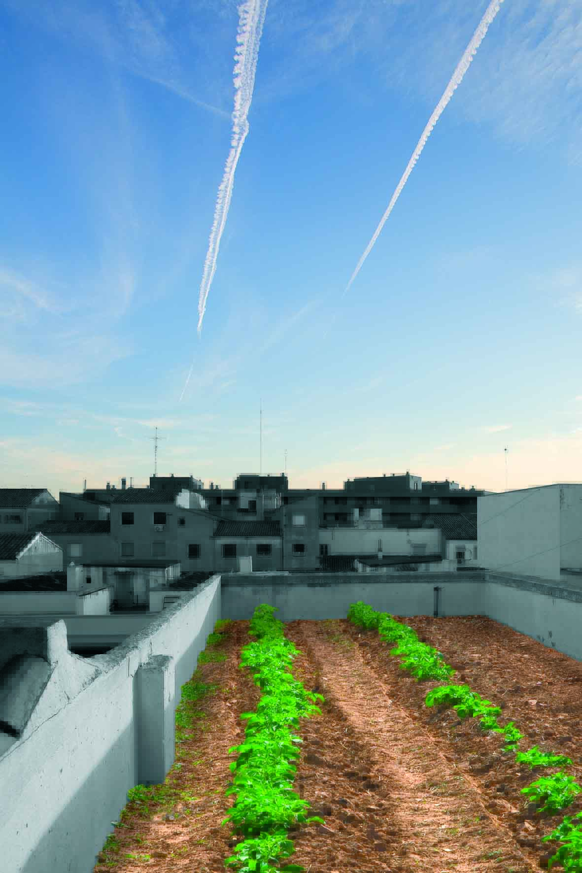 El Aula de Medio Ambiente Urbano –La calle indiscreta- acoge la exposición “Huertos urbanos