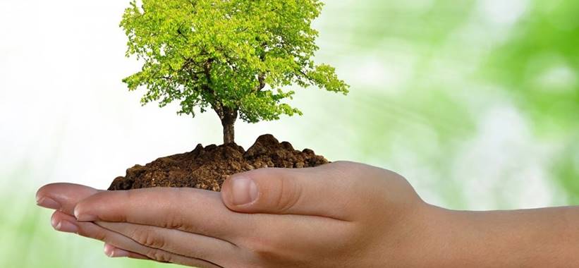 Máster en Gestión Integrada de la Calidad