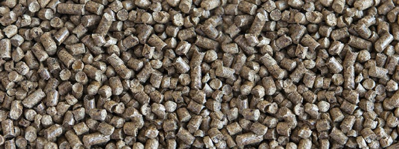 Conoce el Clúster de Biocombustibles Sólidos