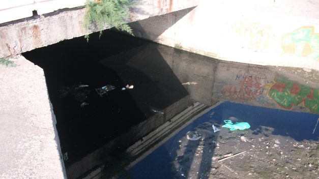 La técnica de la fitodepuración se aplicará en las aguas residuales en Pesaguero (Cantabria)