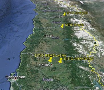 Metodología para calcular la evapotranspiración de los terrenos cubiertos de plantas