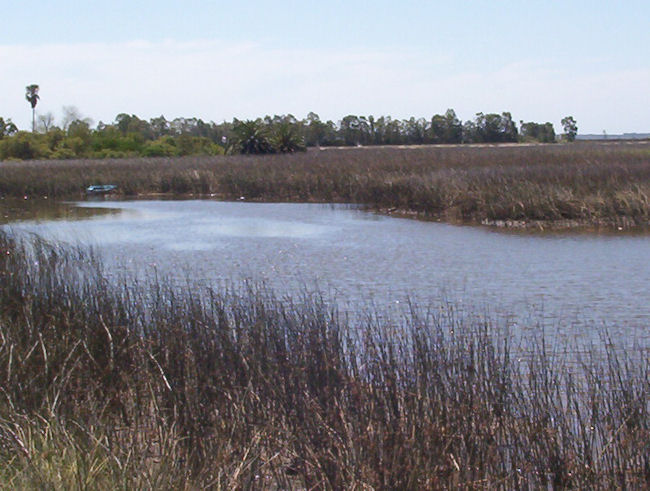Se entregan los Premios CEHUM a proyectos de investigación en humedales