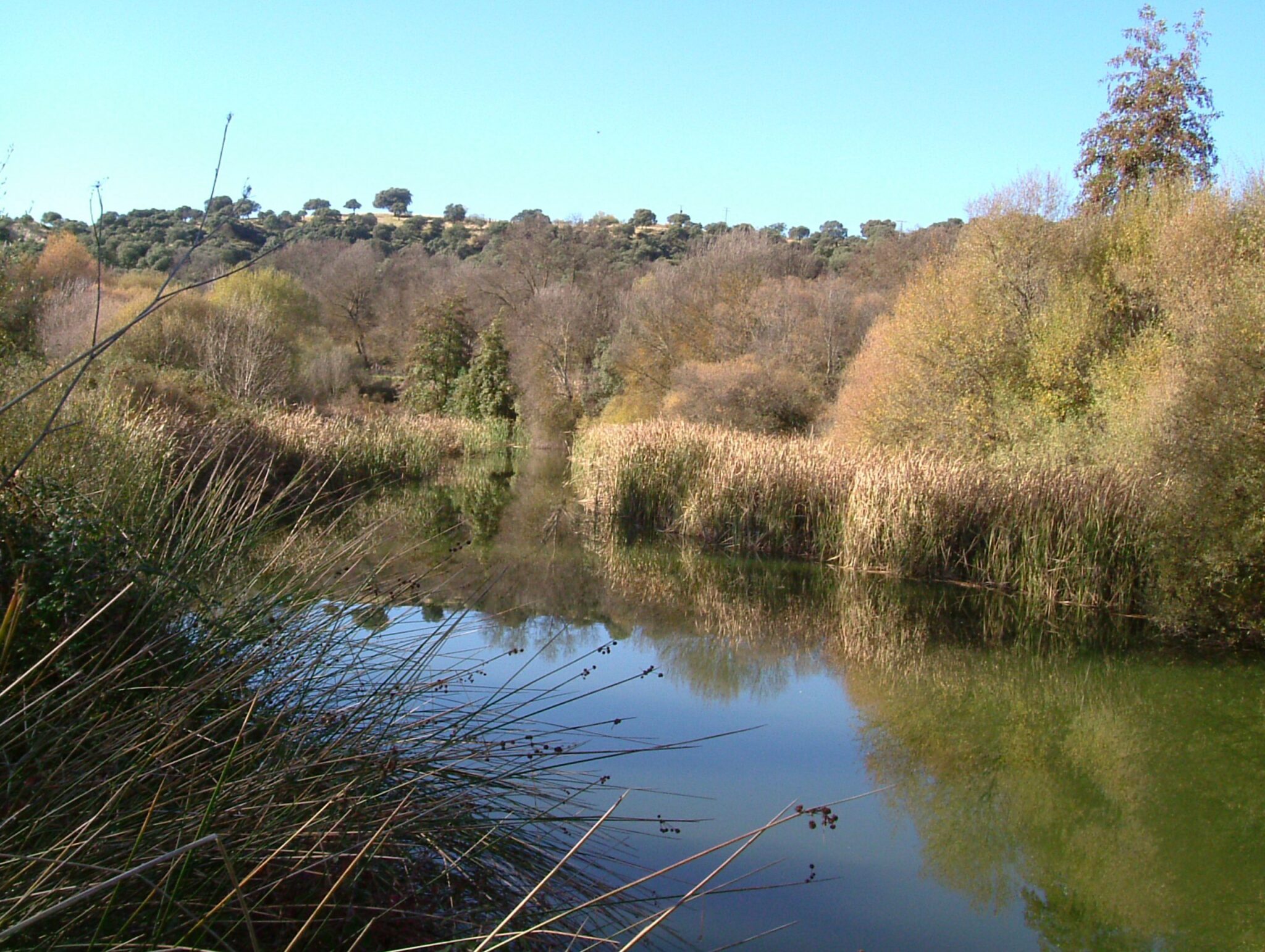 Guardianes del estado ecológico de los ríos españoles