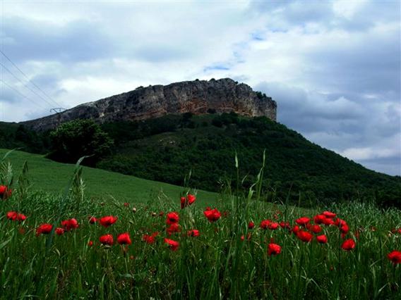El Gobierno Vasco no declara parque natural a Montes de Vitoria