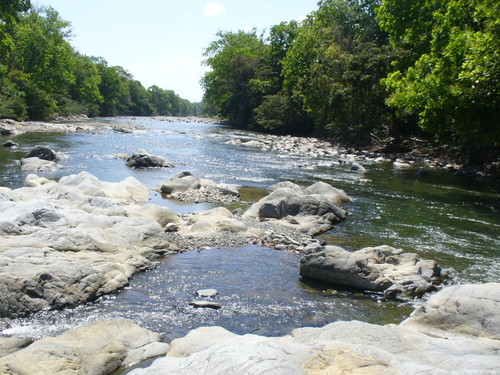 Evalúan los caudales ecológicos en ríos tropicales en diversos países de Iberoamérica
