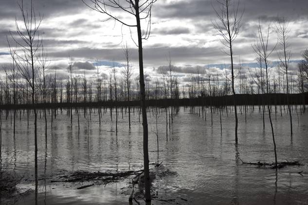 ‘Vital’ limpiar el Ebro