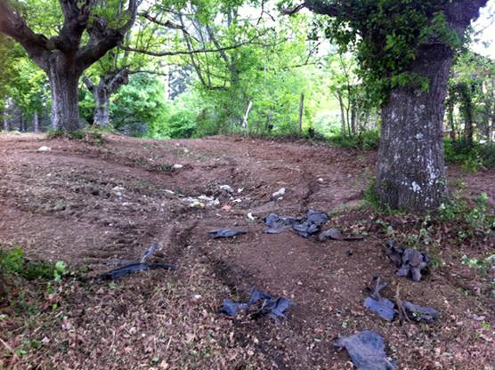 Análisis de Riesgos en Suelos Contaminados