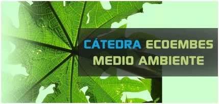 Este año se celebra la V edición del popular Máster en Gestión Sostenible de los Residuos