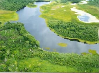 Guerra legal contra explotación petrolera en humedal