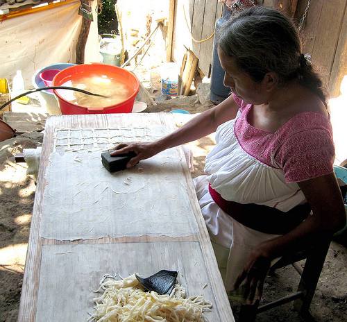 Investigadores mexicanos obtienen papel amate sin contaminar el medio ambiente
