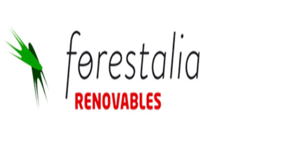 Forestalia da el ‘golpe’ en la subasta de energía eólica