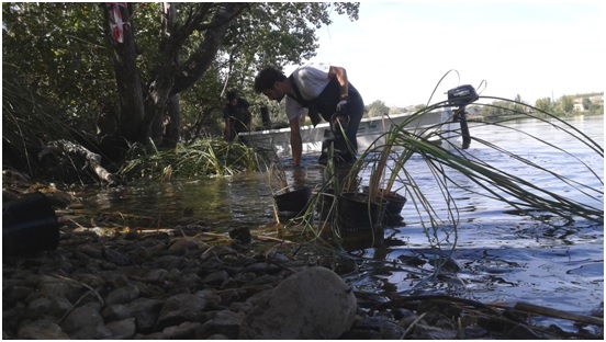 Fundación Global Nature y su labor para conservar especies de las plantas acuáticas