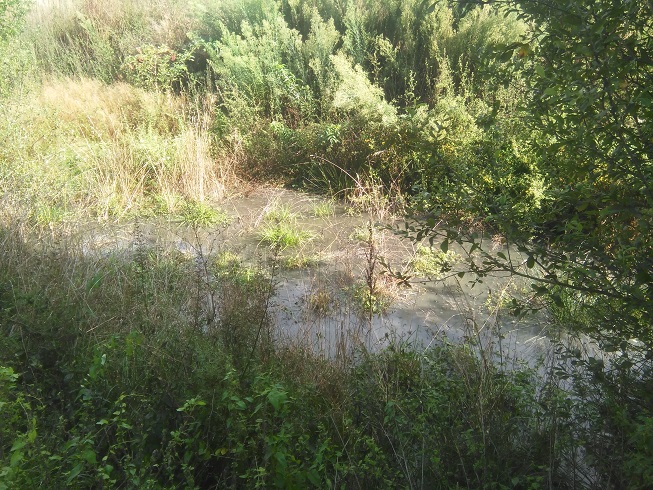 Asturias. 1 año despues continua las lagunas de aguas residuales de Villalegre en Avilés