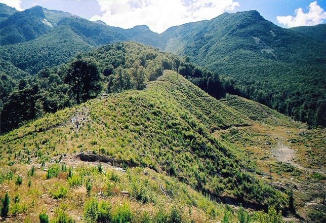 El reto de conservar los bosques en Latinoamérica