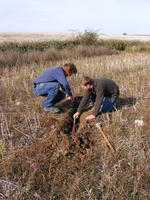 Monitorizan la inyección de CO2 con métodos electromagnéticos
