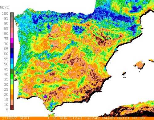 La sequedad edáfica es especialmente notoria en el norte de Andalucía y el Sudeste Español