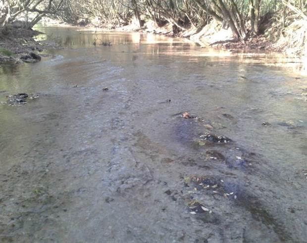 Ecologistas denuncia un vertido "continuado" de purines en un acuífero de Alcalá