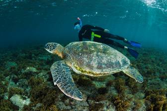 Chile. Leonor Varela llama a proteger Isla de Pascua y Salas y Gómez