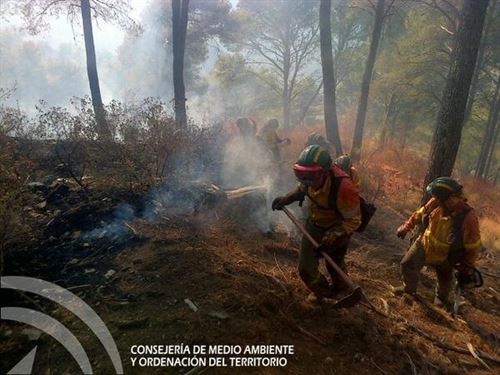 Extinguido el incendio en el parque natural los Montes de Málaga