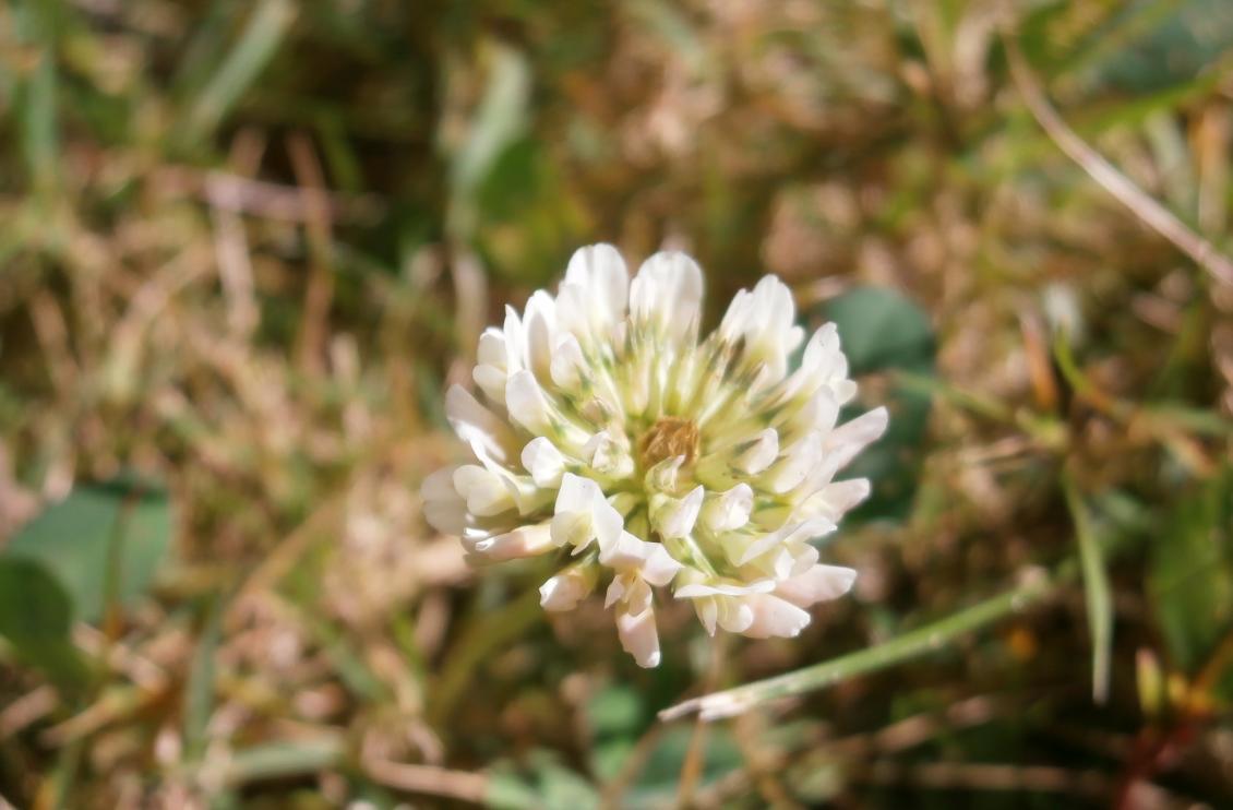 Día Mundial de la Salud y la gestión de residuos en Galicia