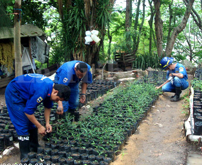 Pulmoncito de la capital a punto de desaparecer