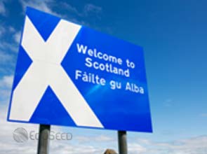 Korean clean energy unit to invest $ 270 million in Scotland plant