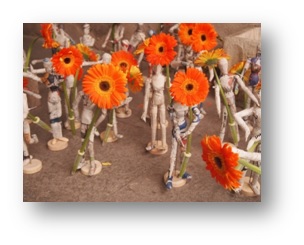 Sesión matinal práctica  aprender a mirar de nuevo