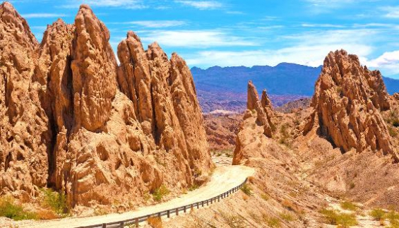 Debate por el cuidado del medio ambiente en el norte de Argentina
