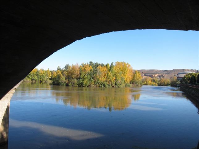 Los ríos de La Rioja gozan de un buen estado biológico