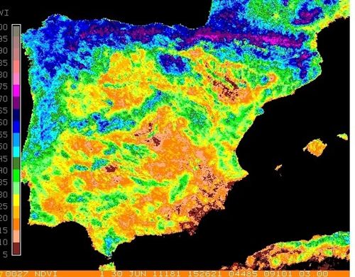 Cantabria presentaba a final de junio los valores más elevados de vegetación