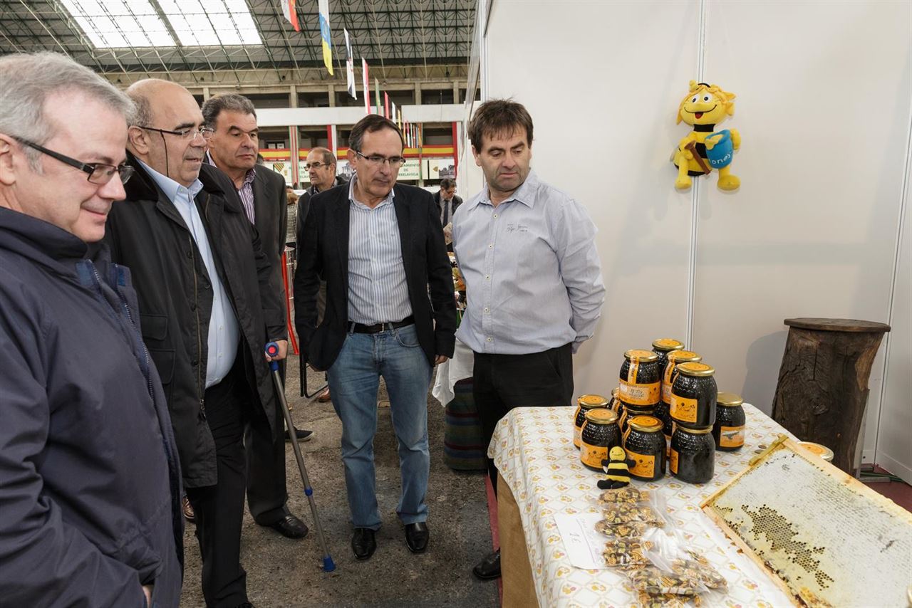 La Avispa Asiática ‘acecha’ Cantabria