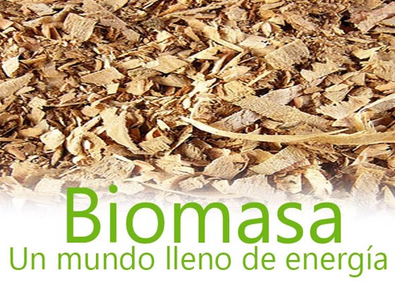 Biomasa