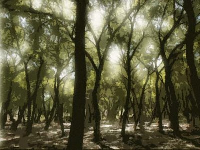 Bosque de los remedios perdió 300 hectáreas: UNAM