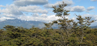 Chile. Proyecto de Ingeniería ayudará a evaluar impacto ambiental y recuperación de Torres del Paine