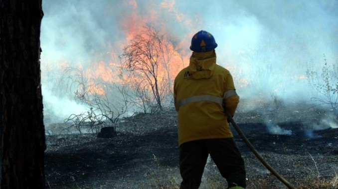 Extinguido el incendio declarado este sábado en La Palma del Condado (Huelva)