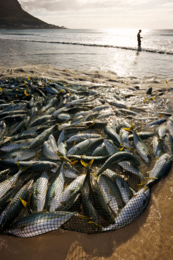 Pescadores africanos denuncian cómo Europa saquea sus recursos pesqueros