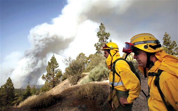 Solo los incendios forestales se salvan de las ‘tijeras’ de Medio Ambiente