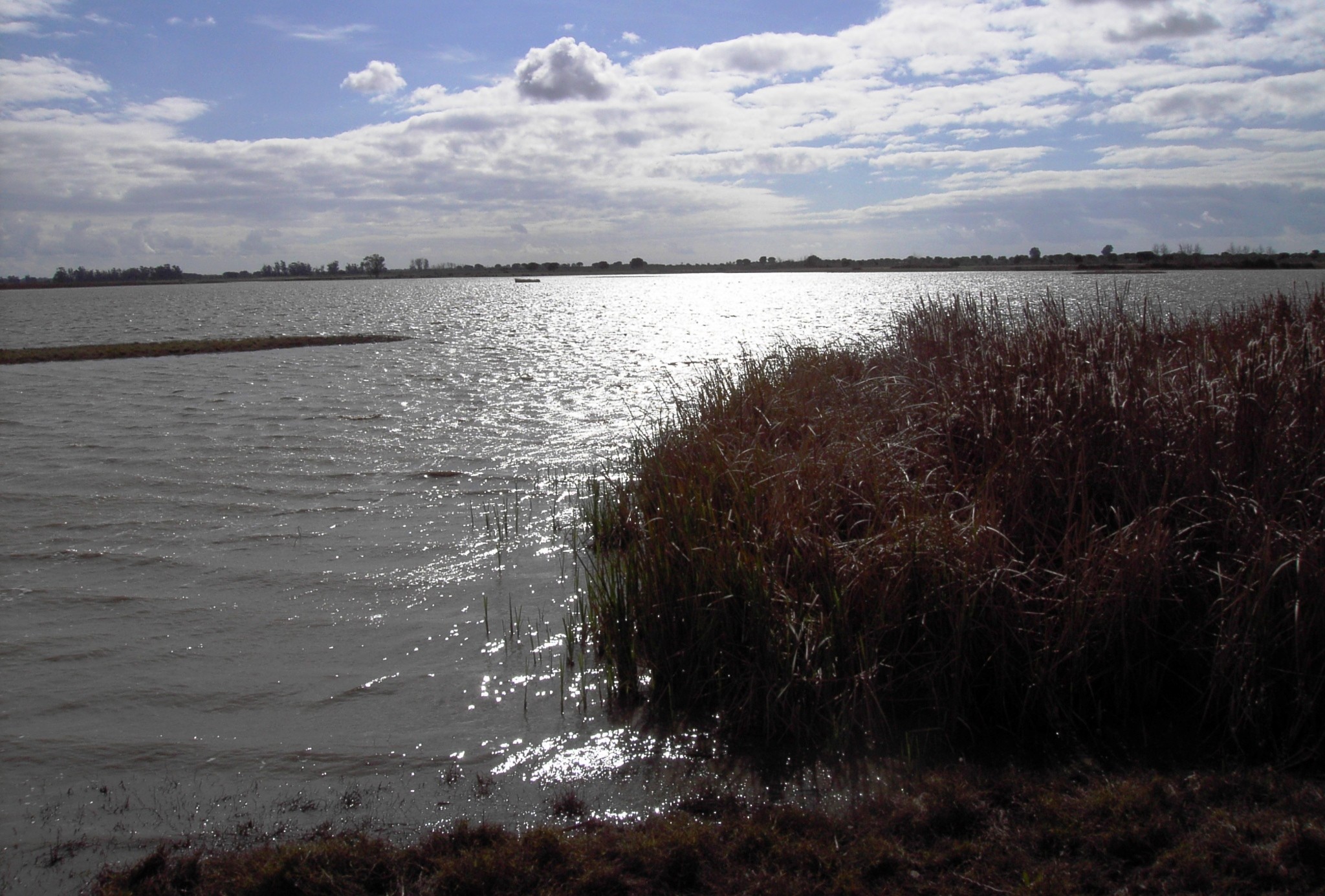Medio Ambiente licita por 6
