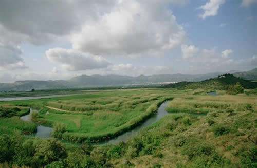Fabra asegura que los Parques Naturales son un activo decisivo en la competitividad de la economía valenciana
