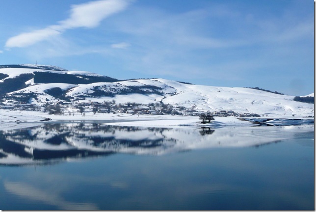 La almeja asiática en  el pantano del Ebro