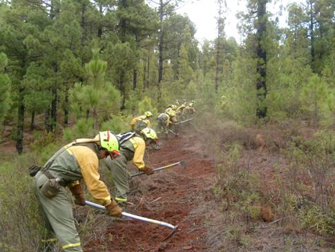 Los ‘diez mandamientos’ para la prevención de incendios forestales