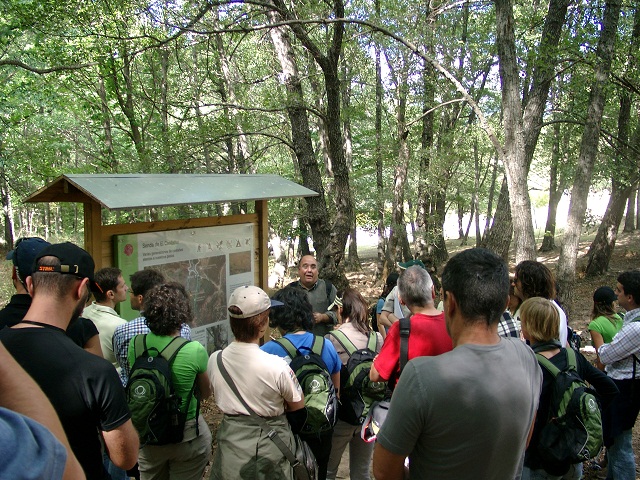 El 6º Congreso Forestal Español mantiene el volumen de participación con respecto al anterior