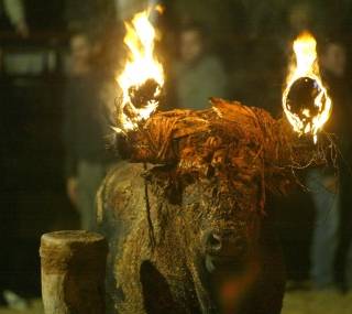 A los veterinarios tampoco les gustan los festejos con toros