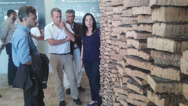 Plan Estratégico del Sector Corchero Andaluz