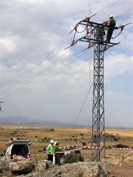 Iberdrola corrige un ‘punto negro’ para aves protegidas