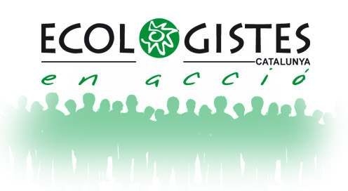 Ecologistas en Acción recurrirá el rechazo de Canarias a proteger el Oasis de Maspalomas como Bien de Interés Cultural