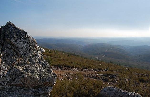 El número de ciervos fallecidos en la Sierra de la Culebra (Zamora) asciende a 44 ejemplares